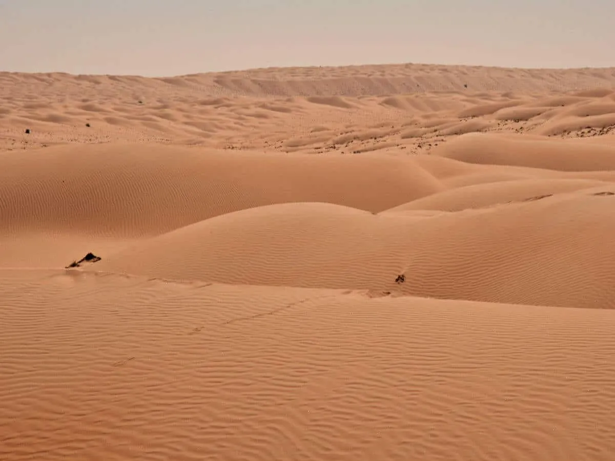 Muscat Travel Package Itinerary: Grand Mosque, Dolphin-Watching, and Jebel Akhdar